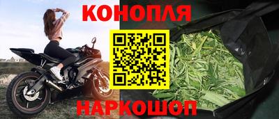 крисы Пенза