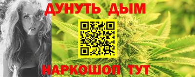 крисы Пенза