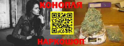крисы Пенза