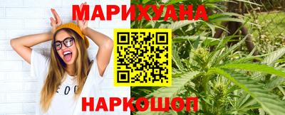 крисы Пенза