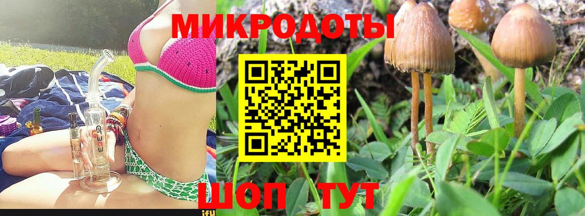 Галлюциногенные грибы GOLDEN TEACHER Рязань