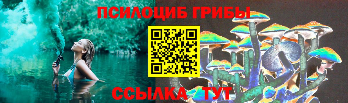 Псилоцибиновые грибы Cubensis  Вход с VPN  Рязань 